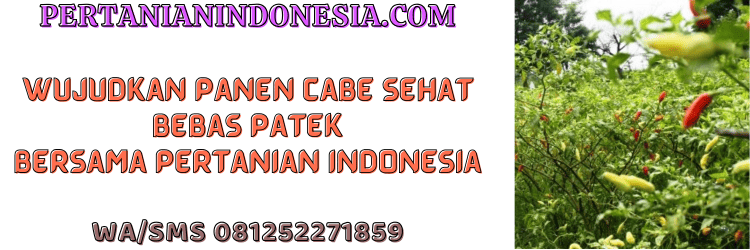 jual,murah,terjangkau,toko pertanian terdekat,pertanian indonesia
